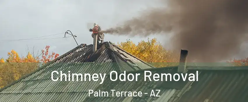 Chimney Odor Removal Palm Terrace - AZ