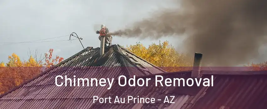 Chimney Odor Removal Port Au Prince - AZ