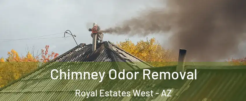 Chimney Odor Removal Royal Estates West - AZ