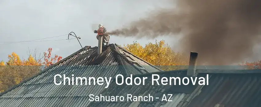 Chimney Odor Removal Sahuaro Ranch - AZ