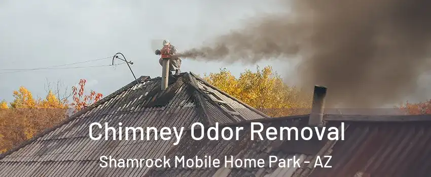 Chimney Odor Removal Shamrock Mobile Home Park - AZ