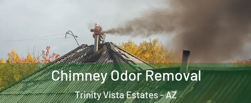 Chimney Odor Removal Trinity Vista Estates - AZ