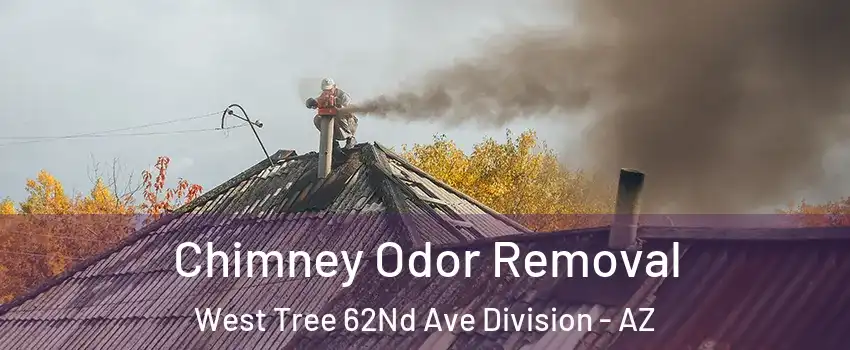 Chimney Odor Removal West Tree 62Nd Ave Division - AZ