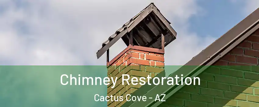 Chimney Restoration Cactus Cove - AZ