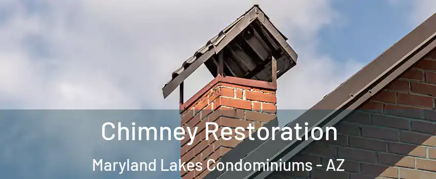 Chimney Restoration Maryland Lakes Condominiums - AZ