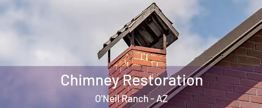 Chimney Restoration O'Neil Ranch - AZ