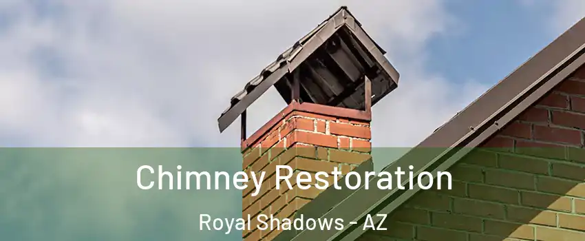 Chimney Restoration Royal Shadows - AZ