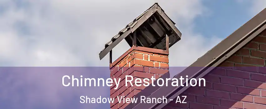 Chimney Restoration Shadow View Ranch - AZ