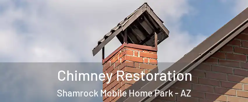 Chimney Restoration Shamrock Mobile Home Park - AZ