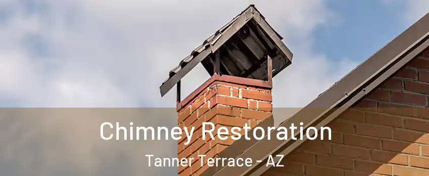 Chimney Restoration Tanner Terrace - AZ