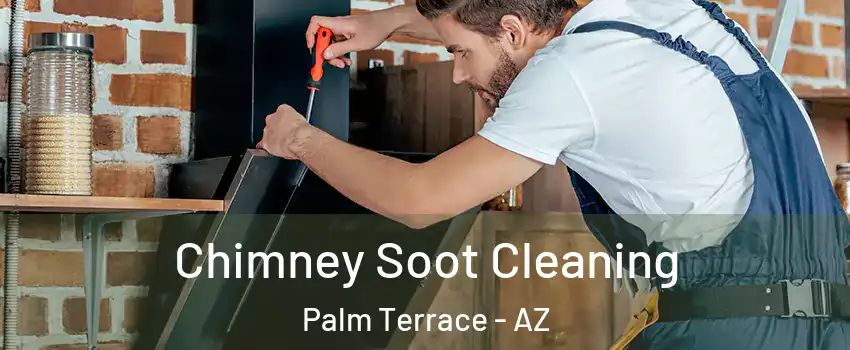 Chimney Soot Cleaning Palm Terrace - AZ