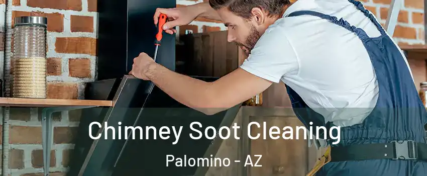 Chimney Soot Cleaning Palomino - AZ