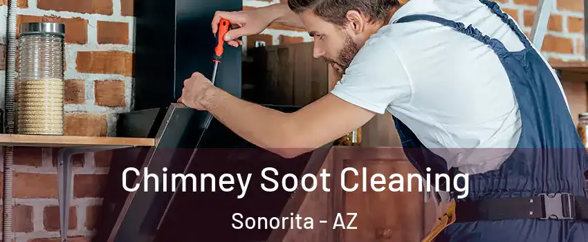 Chimney Soot Cleaning Sonorita - AZ