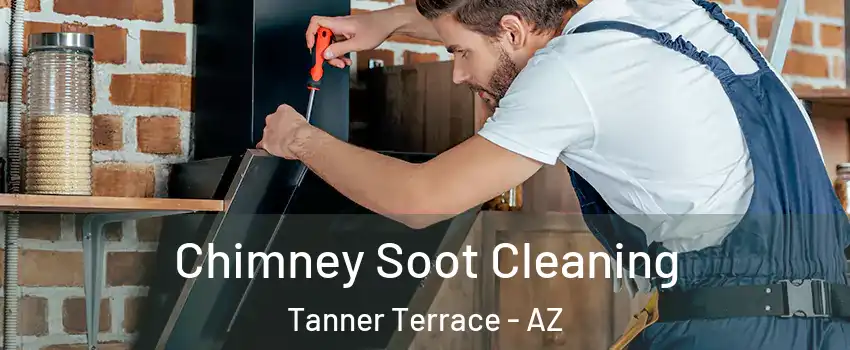 Chimney Soot Cleaning Tanner Terrace - AZ