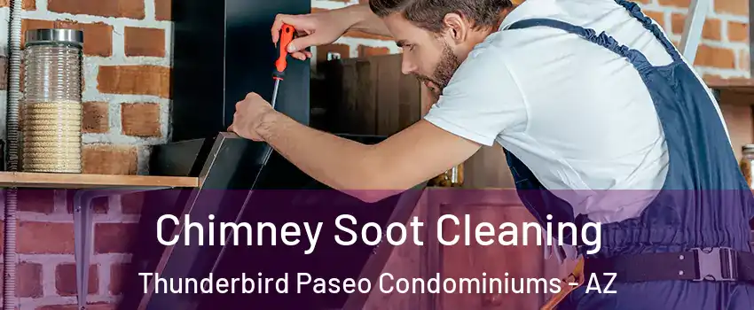 Chimney Soot Cleaning Thunderbird Paseo Condominiums - AZ