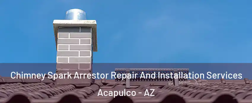 Chimney Spark Arrestor Repair And Installation Services Acapulco - AZ