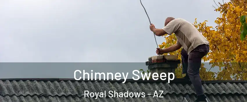 Chimney Sweep Royal Shadows - AZ