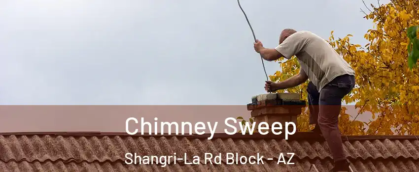 Chimney Sweep Shangri-La Rd Block - AZ