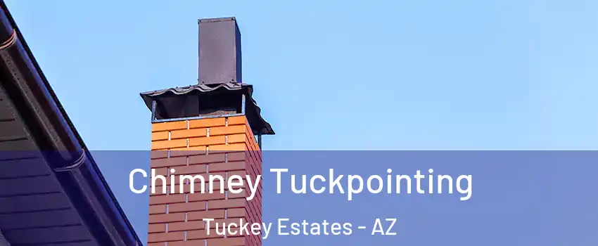 Chimney Tuckpointing Tuckey Estates - AZ