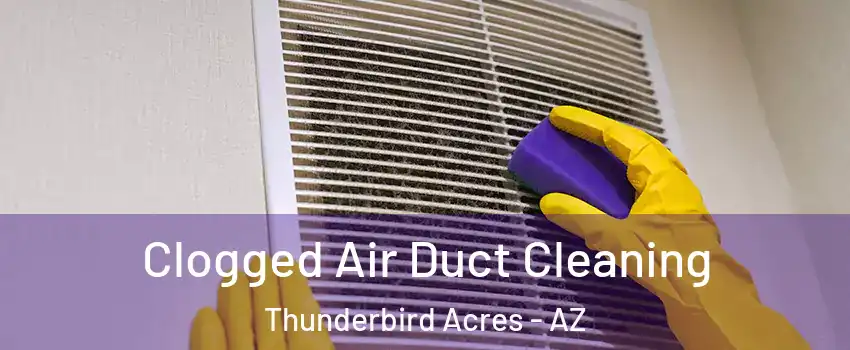 Clogged Air Duct Cleaning Thunderbird Acres - AZ