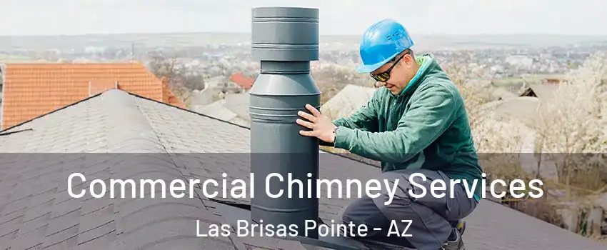 Commercial Chimney Services Las Brisas Pointe - AZ