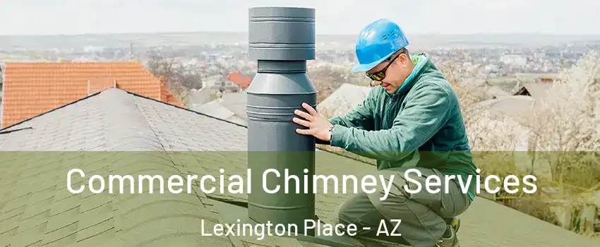 Commercial Chimney Services Lexington Place - AZ