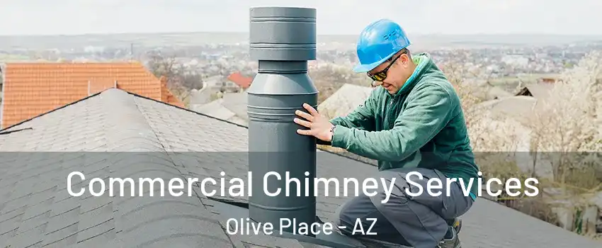 Commercial Chimney Services Olive Place - AZ