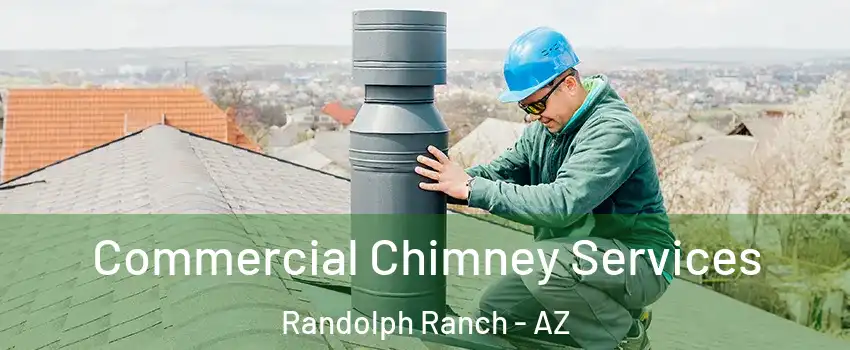 Commercial Chimney Services Randolph Ranch - AZ