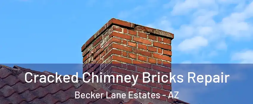 Cracked Chimney Bricks Repair Becker Lane Estates - AZ