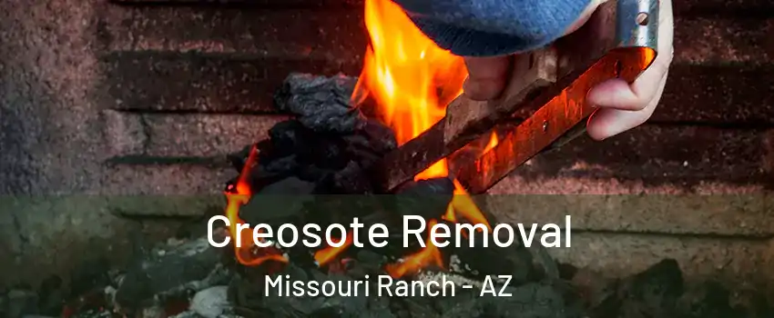 Creosote Removal Missouri Ranch - AZ