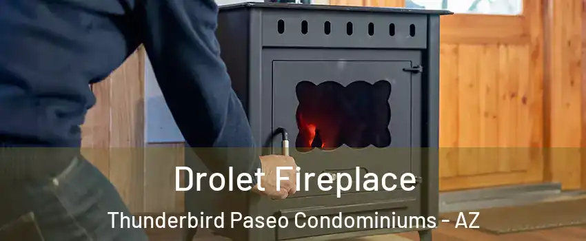 Drolet Fireplace Thunderbird Paseo Condominiums - AZ