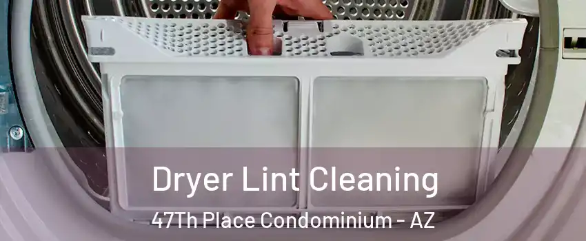 Dryer Lint Cleaning 47Th Place Condominium - AZ