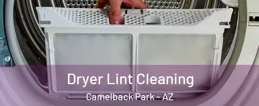 Dryer Lint Cleaning Camelback Park - AZ