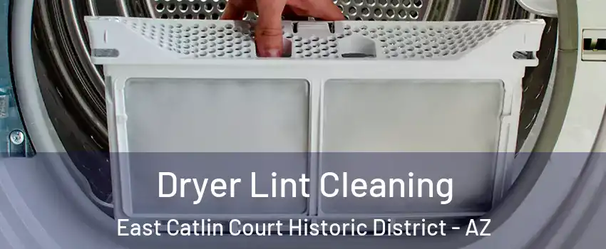 Dryer Lint Cleaning East Catlin Court Historic District - AZ