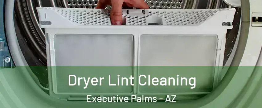 Dryer Lint Cleaning Executive Palms - AZ