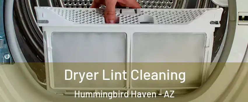 Dryer Lint Cleaning Hummingbird Haven - AZ