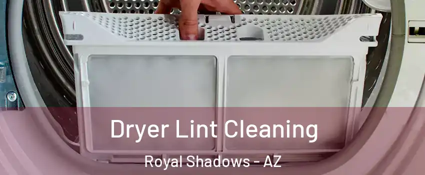 Dryer Lint Cleaning Royal Shadows - AZ