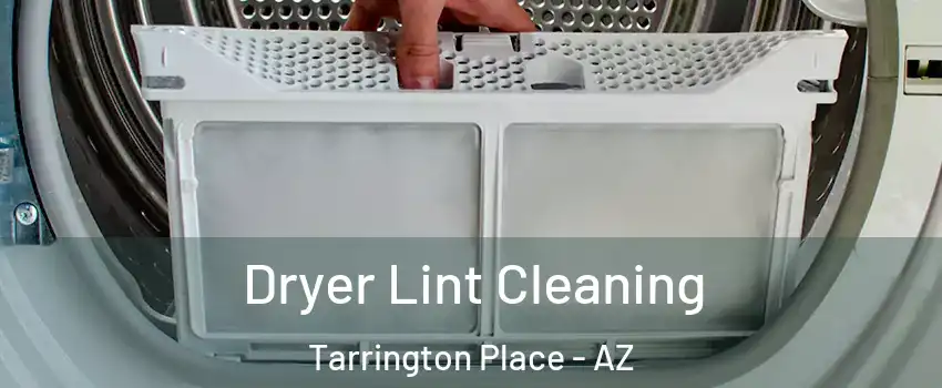 Dryer Lint Cleaning Tarrington Place - AZ