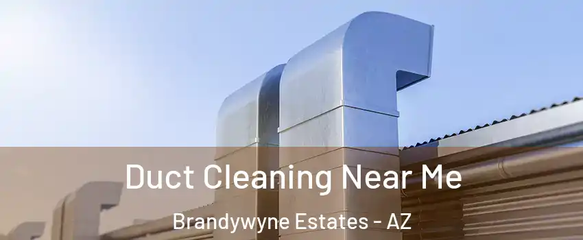 Duct Cleaning Near Me Brandywyne Estates - AZ