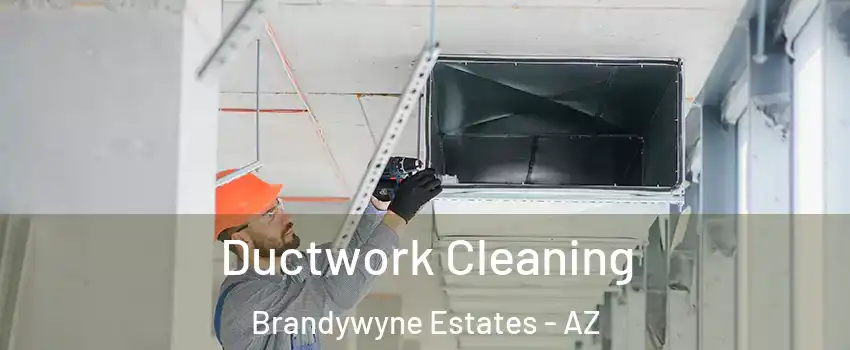 Ductwork Cleaning Brandywyne Estates - AZ