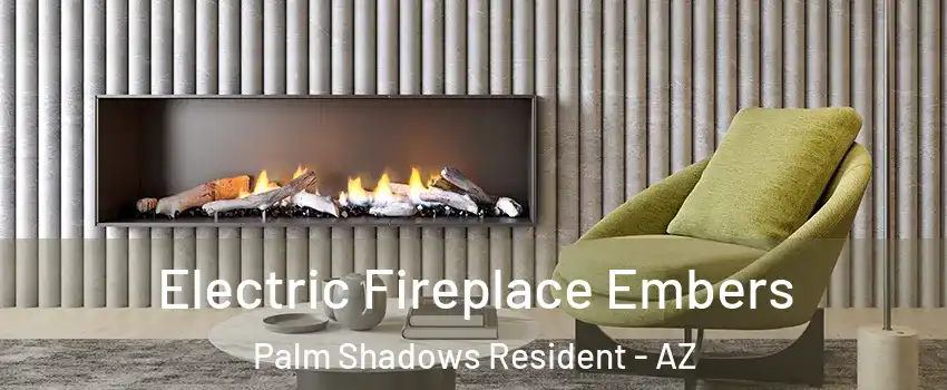 Electric Fireplace Embers Palm Shadows Resident - AZ