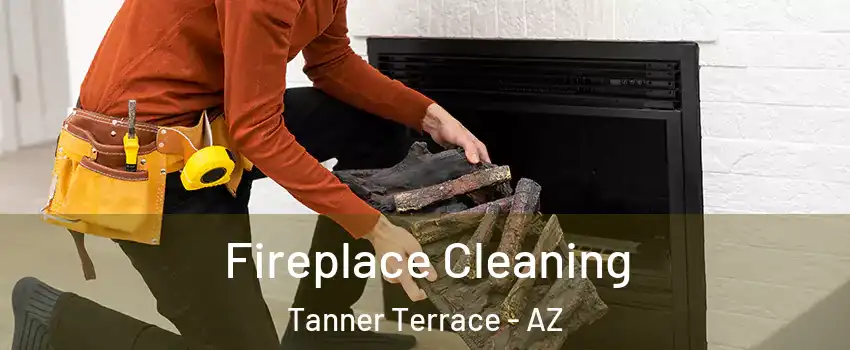 Fireplace Cleaning Tanner Terrace - AZ