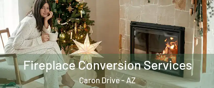 Fireplace Conversion Services Caron Drive - AZ