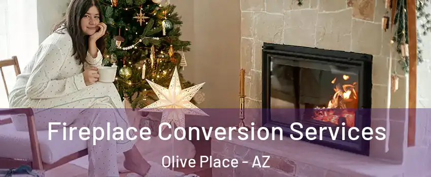 Fireplace Conversion Services Olive Place - AZ