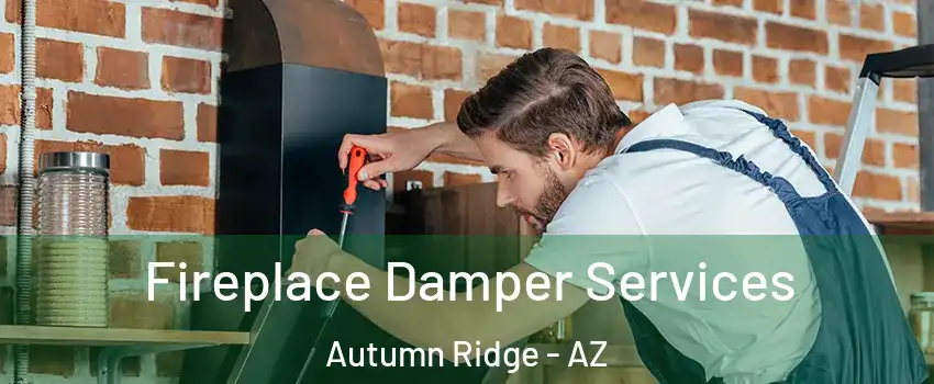 Fireplace Damper Services Autumn Ridge - AZ