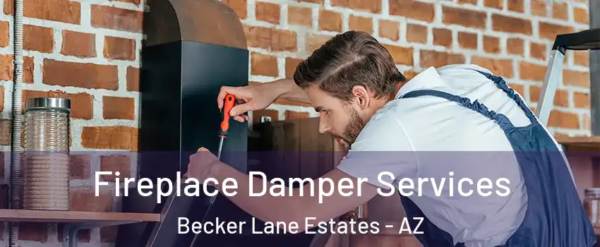 Fireplace Damper Services Becker Lane Estates - AZ