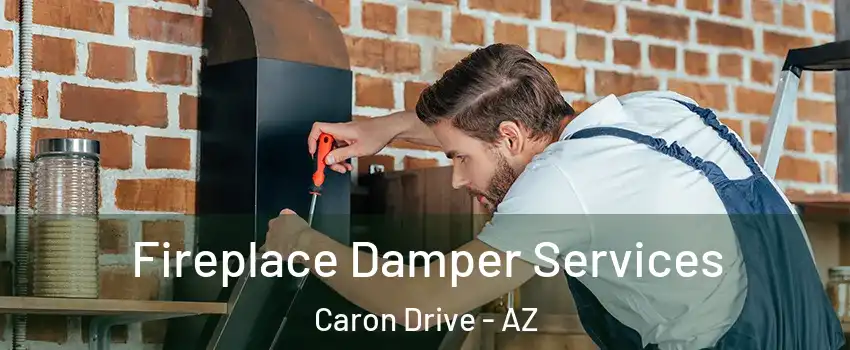 Fireplace Damper Services Caron Drive - AZ