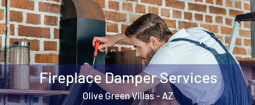 Fireplace Damper Services Olive Green Villas - AZ