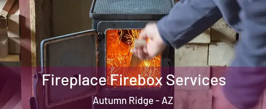 Fireplace Firebox Services Autumn Ridge - AZ