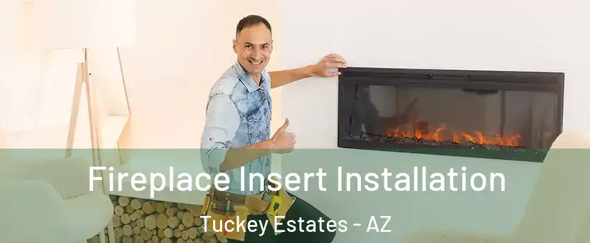 Fireplace Insert Installation Tuckey Estates - AZ